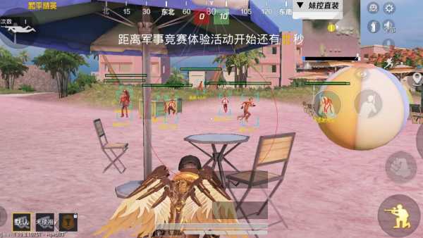 和平精英「路易威登」外挂